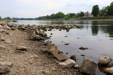 Blick auf die Elbe bei Niedrigwasser