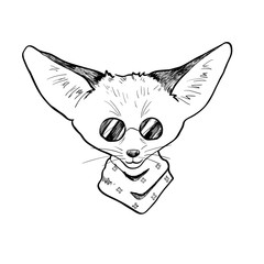 Black and white drawing of a sand fox in round sunglasses and a scarf around his neck.