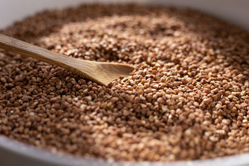 buckwheat