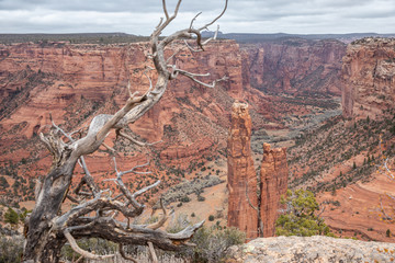 Canyon de Chelly National Monument in Arizona - Spiders Rock © Michał Adamowski