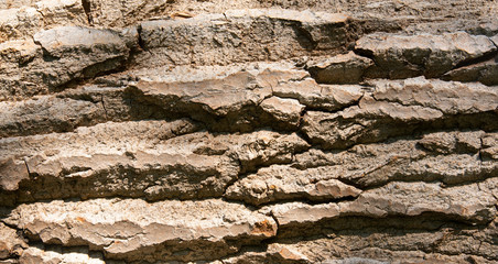 Log surface structure. Stumps and logs. Timber logging industry banner. Overexploitation leads to deforestation endangering environment and sustainability.