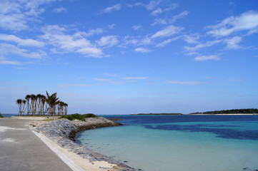 沖縄の海