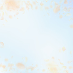 Fototapeta premium Yellow orange flower petals falling down. Quaint r