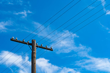 Old wooden pole with electric wires