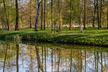 Fototapeta na wymiar The lake in the park is a reflection of trees and the sun in the lake water.