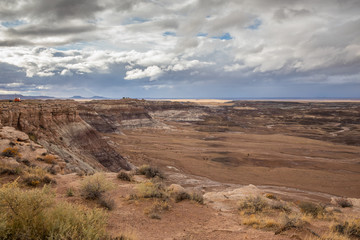 Petrified Forest in National Park in Arizona