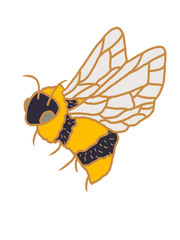 Illustration of a bee on the white isolated background. Nature fauna decor.