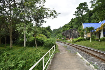 bridge over the river