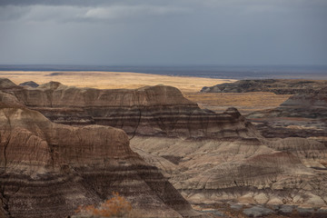 Petrified Forest in National Park in Arizona