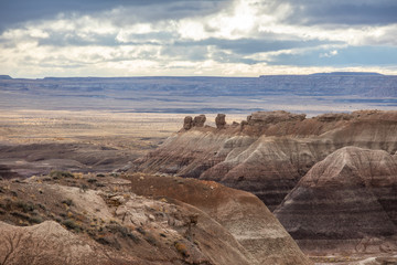 Petrified Forest in National Park in Arizona