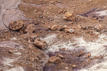Petrified Forest in National Park in Arizona