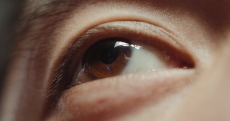 Japanese Asian man eyes close-up detail macro shot, portrait macro of man