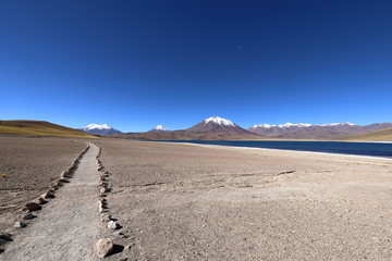Fototapeta na wymiar Lagoon Miscanti y Miniques on Atacama.