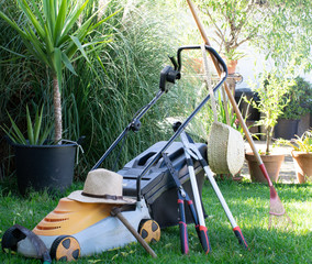 flores y utensiios de jardineria