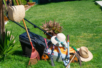flores y utensiios de jardineria