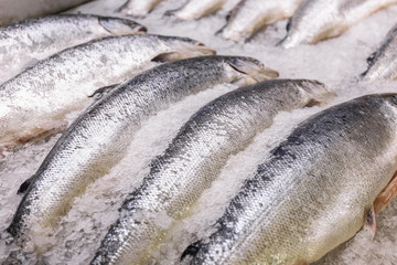 Salmon on ice on the counter of a fish store.