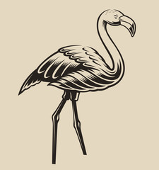 Vector illustration of a flamingo. Element for design