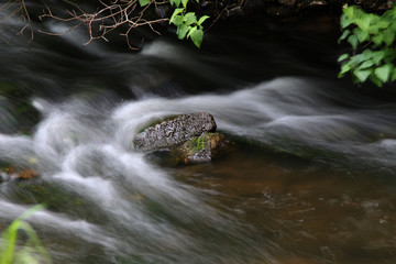 Ein dicker Stein in einem Flussbett