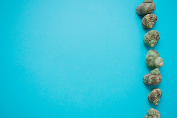 Column of seashells on the right side of the image over a blue background. Copy space.