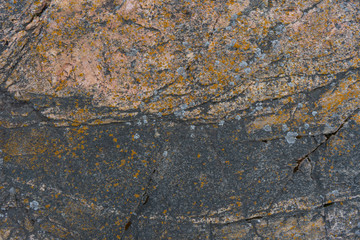 Rock near Baltic sea. Texture of scandinavian stone. Background.