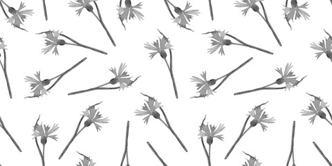 Seamless floral pattern made of clove pink, carnations.  Black and white hand drawn background.. Good for textile, paper and card design. 
