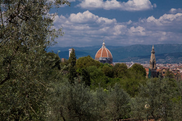 Obraz premium vista di Firenze