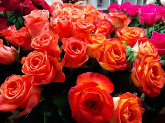 
fresh flowers, author's bouquets