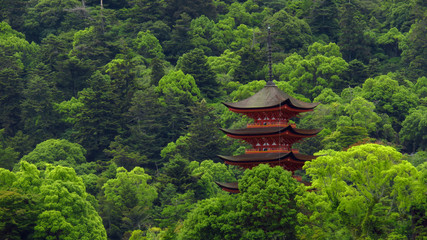 Beautiful Red Pagoda in Green Forest in Japan
