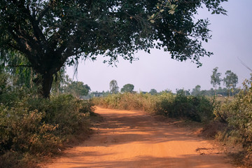 Fototapeta na wymiar a road cutting through the fields in a village
