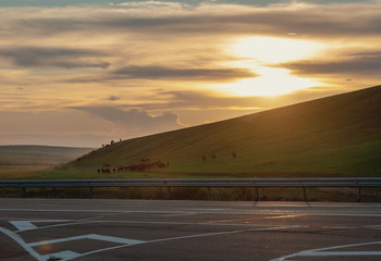 Beautiful landscape, setting sun through the clouds and beautiful landscape with horses climbing a hill