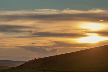 Fototapeta na wymiar Beautiful landscape, setting sun through the clouds and beautiful landscape with horses climbing a hill