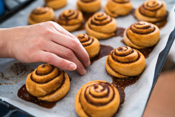 Close up of a woman's hand picking up freshly baked homemade cinnamon rolls on a cookie sheet.