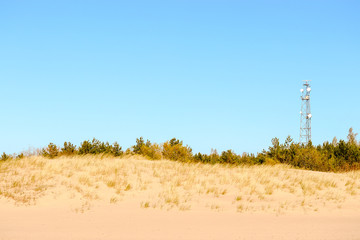 dunes in the sand