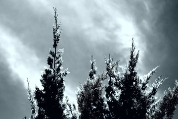 clouds in the sky