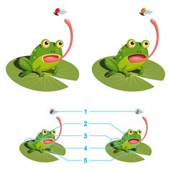 The frog is trying to catch a ladybug with its tongue. Find the five differences between the two pictures. Children's game picture is a riddle with a solution below.