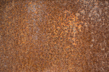 Rusty old metal wall. Texture.