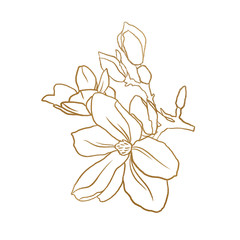 Gold summer floral line art on the white isolated background. Gold foil floral element for invitation decor.
