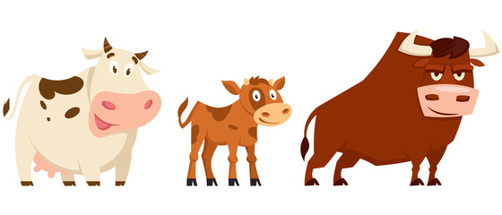 Cow family in cartoon style. Farm animals of different sex and age. © KurArt