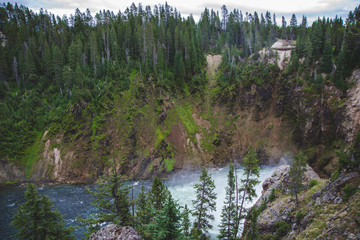 Fototapeta na wymiar Closer picture of canyon and pine trees on hills with Yellowstone river in national park USA. Nature landscape for travel blog with rocks and emerald river which located in world famous place