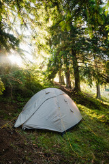 Grey tent in campside in wild summer forest © Khrystyna Pochynok