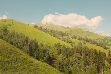 Fototapeta premium green mountain ridge under a cloudy sky, green hill slope outdoor scene