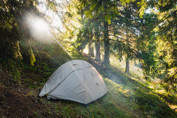 Grey tent in campside in wild summer forest