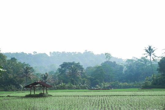 Nature Landscape At West Java Indonesia