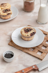 Delicious fresh vanilla muffin with sprinkled cocoa on a light background