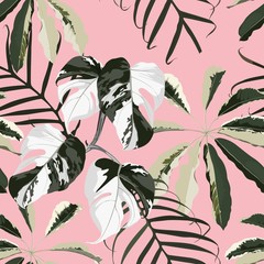 Seamless pattern with traditional home plant leaves, monstera, palm.  Tropical texture.