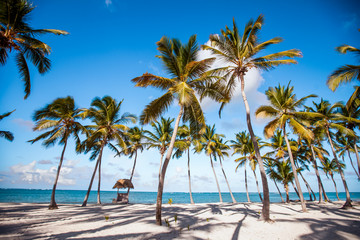 
Sea Caribbean landscape in Dominican republic with palm trees, sandy beach, green mountains, rocks, blue sky and turquoise water 