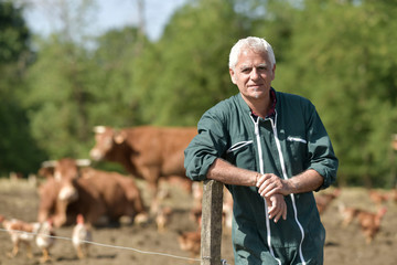 Farmer leaning on fence, cattle in background