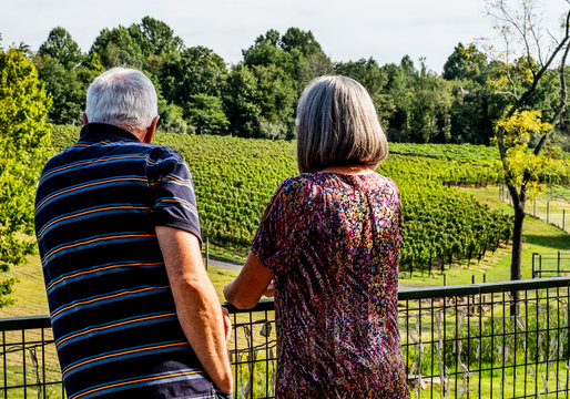 Back Of Mature Couple Overlooking Vineyard 