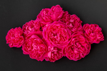 Close up image of pink roses on black background