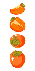 Vector set of persimmon: whole and slices. Isolated on white background, bright colors without contour. Natural and healthy product, diet, exotic fruit, cooking, farmers market Illustration.